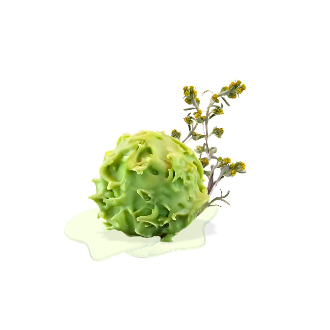 BOITE DE CHARDONS LIQUEURS ASSORTIES 200g – Image 3