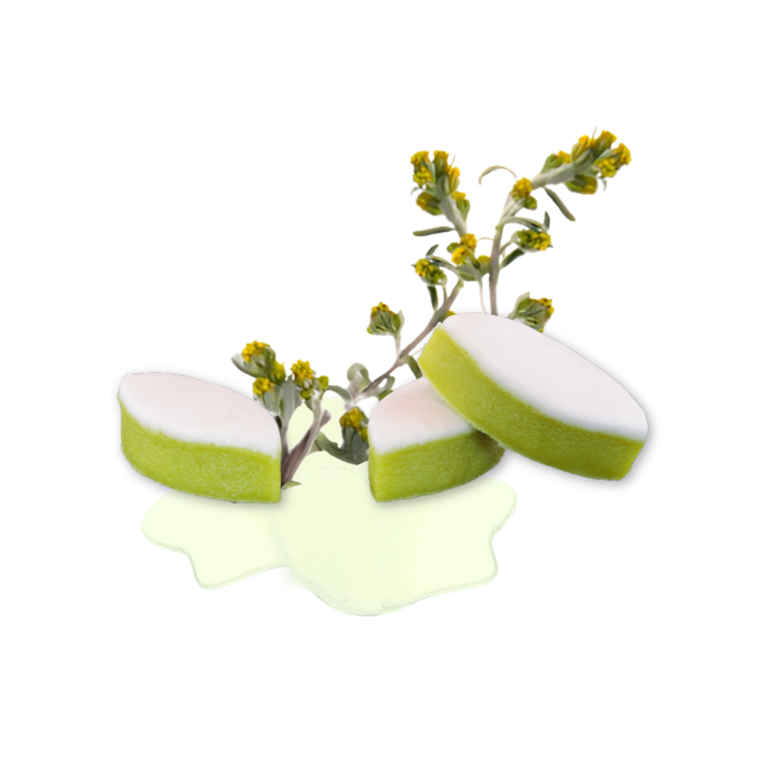 24 MINI-CALISSONS GENEPY – Image 2